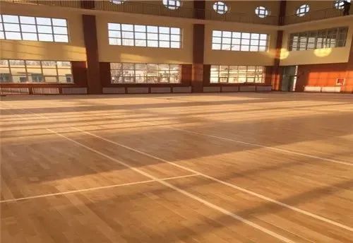 【湖南省體育設(shè)施建設(shè)協(xié)會(huì)走訪】湖南德冠木業(yè)有限公司 木地板資訊 第8張